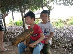 -武汉紫薇都市田园