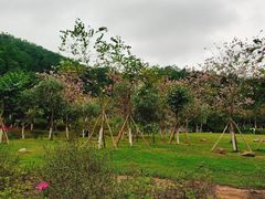 -火炉山森林公园