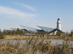 -盐城丹顶鹤湿地生态旅游区