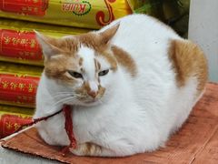 -容里煲仔饭(利丰北路店)