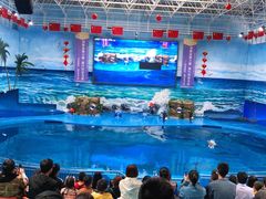 -多彩贵州城极地海洋世界