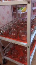 点击看大图 -本真坊美容美体沙龙