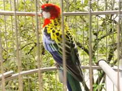 -千岛湖东南湖区