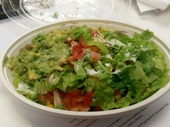 -油梨树 AVOCADO TREE(亮马桥店)