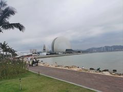 -野狸岛