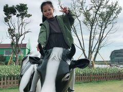 -荷兰花海