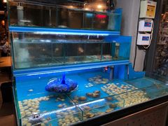 水产区-鑫釜山海鲜烧烤(浑南店)