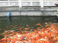 -广东圆玄道观