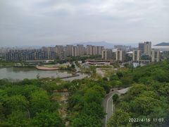 -飞凤山奥体公园
