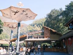 -西双版纳原始森林公园