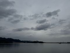 -望湖烤鱼
