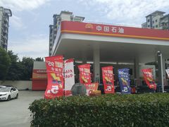 -中国石油加油站(严桥路站)