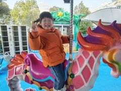 -芜湖新华联大白鲸海洋公园