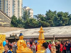 -护国法轮寺