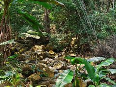 -福清灵石山国家森林公园