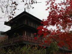 -习家池