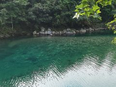 -石台牯牛降景区
