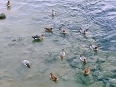 -深圳湾公园(南山区)