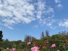 -人民公园(罗湖区)