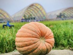 -中国天府农业博览园