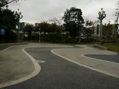 -宝安西湾红树林湿地公园