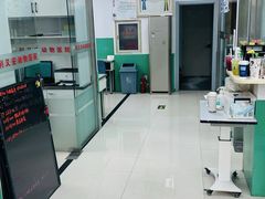 -利又安动物医院··老年病·猫科犬科·中兽医