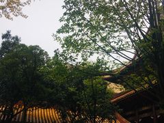 -南岳衡山风景名胜区-南岳大庙