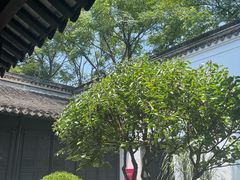 -绮园景区