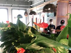 大堂-管氏翅吧(台湾街店)