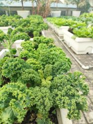-三分地生态园·儿童乐园