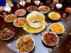 -铁山坪森林公园