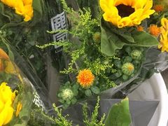 -鹿岛会员店 (龙湖三千集天街店)