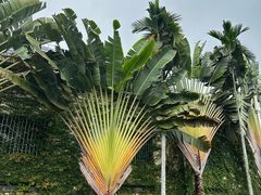 -三亚南山文化旅游区