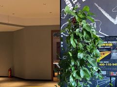 -梵猫·新养生(湛江鼎盛店)