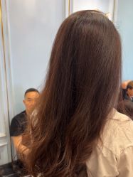 -YESIDO椰岛造型