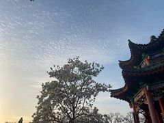 -济南大明湖景区