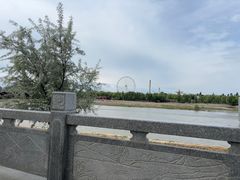 -伊犁河景区