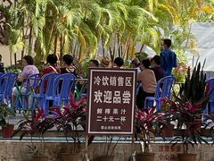 -西双版纳傣族园