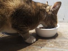 -Poke lemon海鲜波奇饭·柠檬茶(金碧开放小区店)