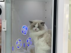 -爱洗澡的猫(天河路店)