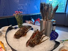 -海月轩海鲜豆捞(紫金塔店)