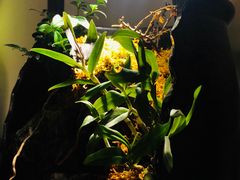 -月栖华明-云间草堂清茶馆(泗泾古镇店)