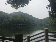 -白马涧龙池景区