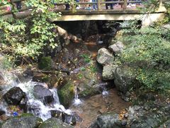 -藏龙百瀑风景区