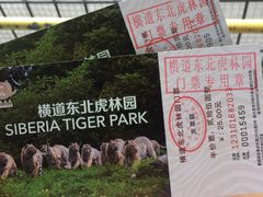 -横道河子东北虎林园