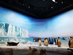 -浙江自然博物院(杭州馆)