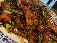 茶树鸭-杨记隆府(白象街店)
