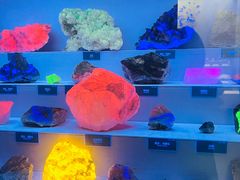 -湖南省地质博物馆