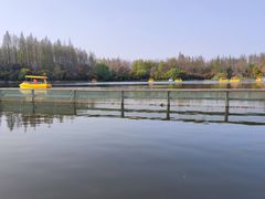 -东平国家森林公园