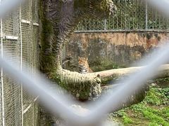 -宁波野生动物园